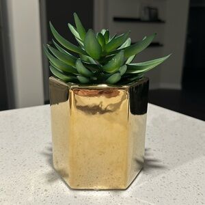 PROJECT 62 Faux Potted Succulent